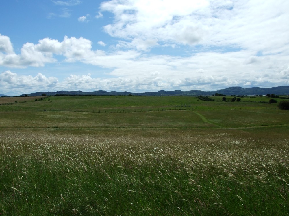 Carrowmore Megalithic Cemetery11