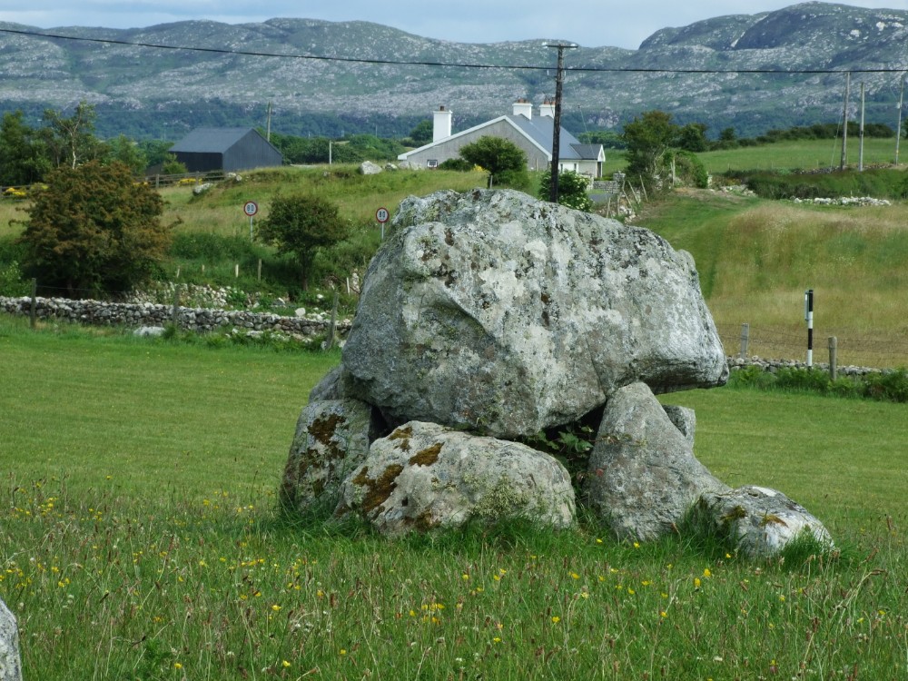 Carrowmore Megalithic Cemetery5
